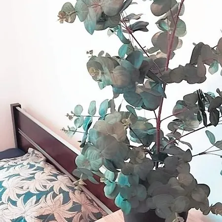 شقة Ogrody/jezyce بوزنان