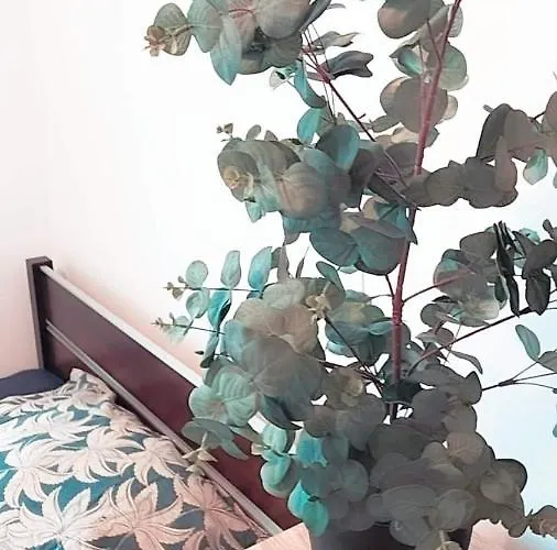 شقة Ogrody/jezyce بوزنان